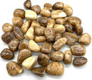 1 lb Aragonite tumbled
