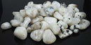 1 lb Rainbow Moonstone tumbled