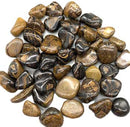 1 lb Stromatolite tumbled