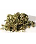 Mugwort cut 1oz