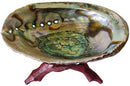 5"-6" Abalone Shell burner w stand