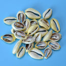 (set of 400) .5-1" Moneta cut (1kg)