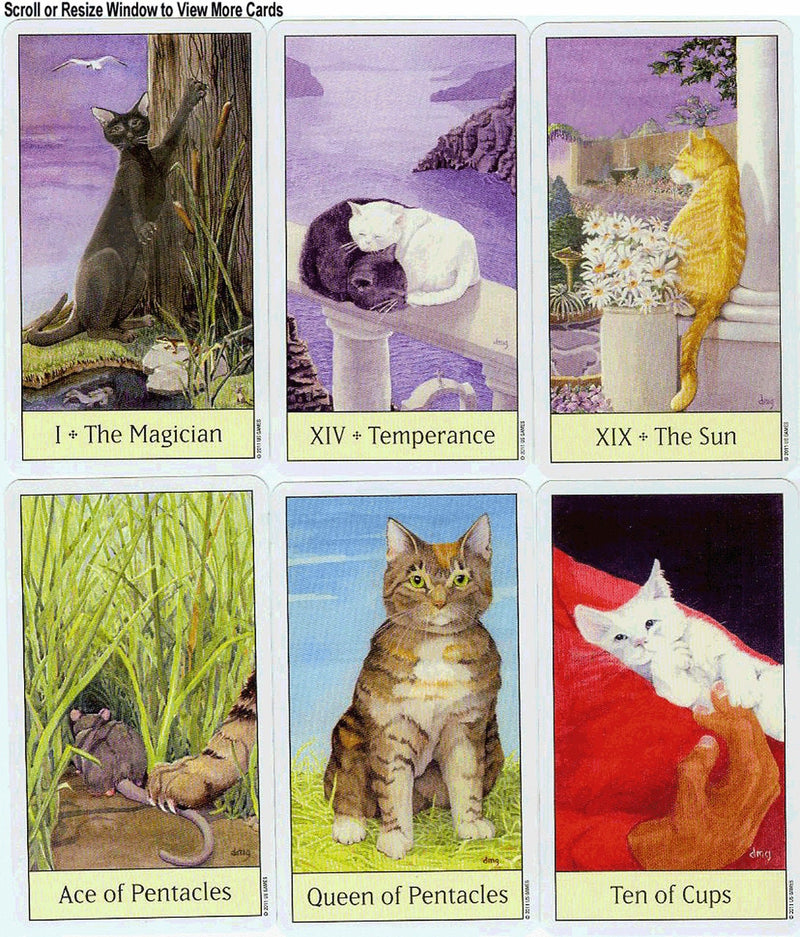 Cat's Eye Tarot Deck | Cartomancy | Divination Tool | Oracle Cards | Major Arcana | Guide book | Pagan | Witch Magic | Fortune Telling