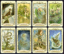 Fantastical Creatures tarot deck | Cartomancy | Divination Tool | Oracle Cards | Major Arcana | Guide book | Pagan | Witch Magic | Fortune