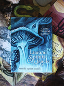 Liminal Spirits oracle, Witch's Spirit Cards Deck | Cartomancy | Divination Tool | Oracle Cards | Major Arcana | Guide book | Pagan | Magic